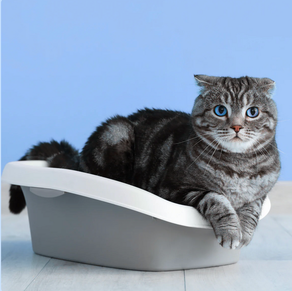 Feature product image